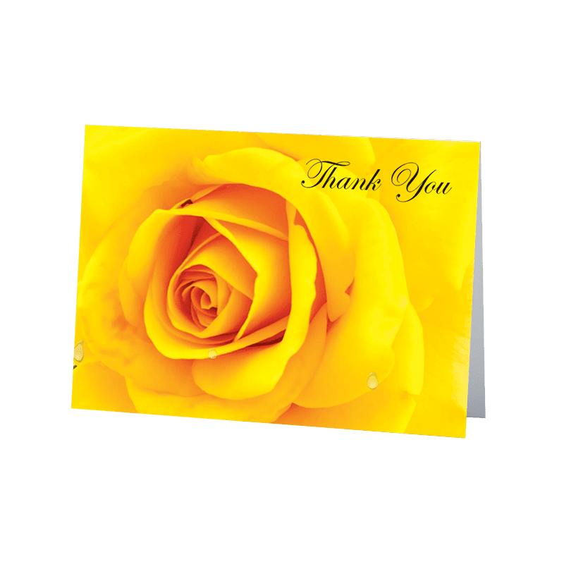 thank you images with yellow roses